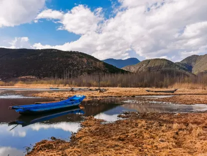 BigWins Casino Farsímaforrit